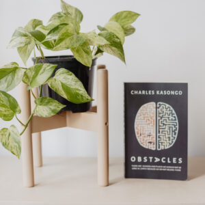 obstacles book and plant stand